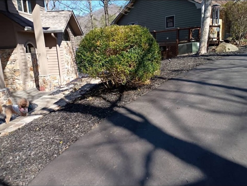 Driveway area — before | S & J Synthetic Turf